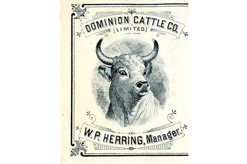 Notre histoire en archives : la Dominion Cattle Company, une saga de l’Ouest américain